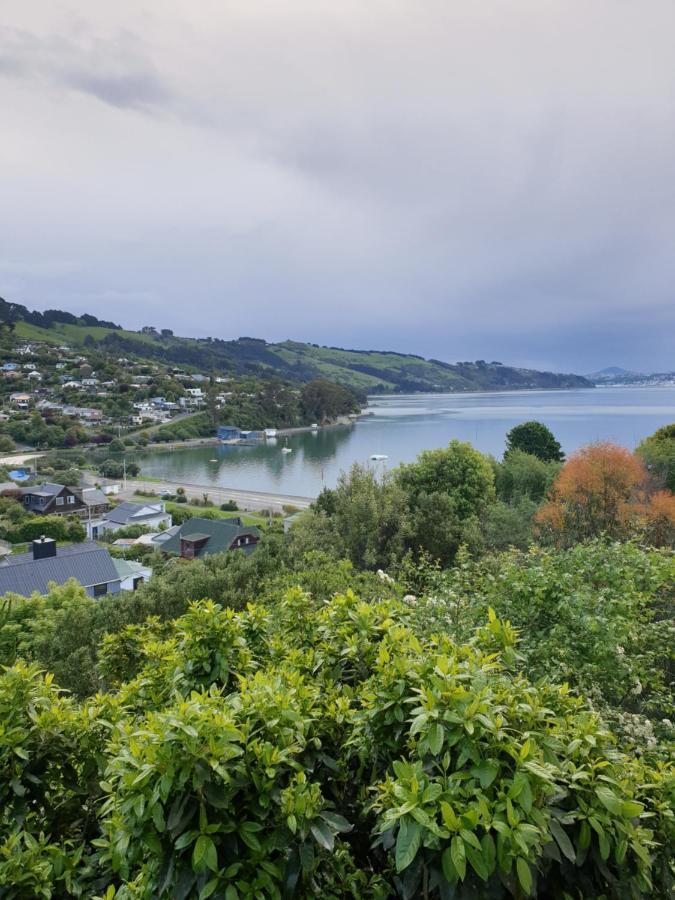 Tui2 Macandrew Bay Dunedin Exterior photo